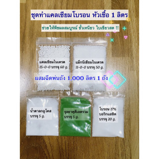 ชุดทำแคลเซียมโบรอน สูตรเสริมแม็กนีเซียม หัวเชื้อ 1 ลิตร ช่วยพืชผลสมบูรณ์ ขั้วเหนียว ใบเขียวสด เพิ่มผลผลิต พร้อมส่ง !!