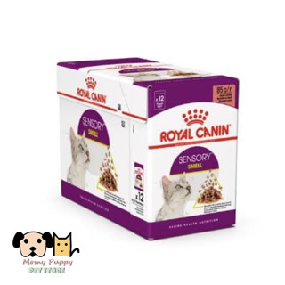 Sensory Taste Gravy Pouch Royal Canin