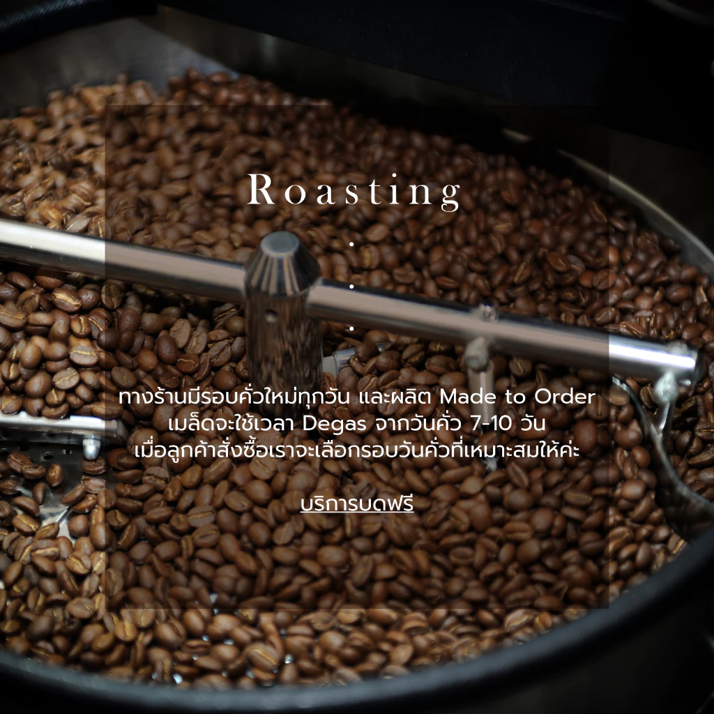 Macnuts Roasters เมล็ดกาแฟ Huay Chompu Single Origin Arabica thumbnail 8