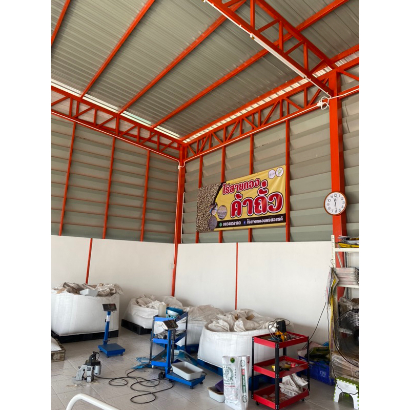 ถั่วเขียว 5ก.ก สำหรับปลูกเพื่อเป็นพืชคลุมดิน เป็นปุ๋ยพืชสด ไม่ใช้ขยายพันธุ์ - รูปที่ 5