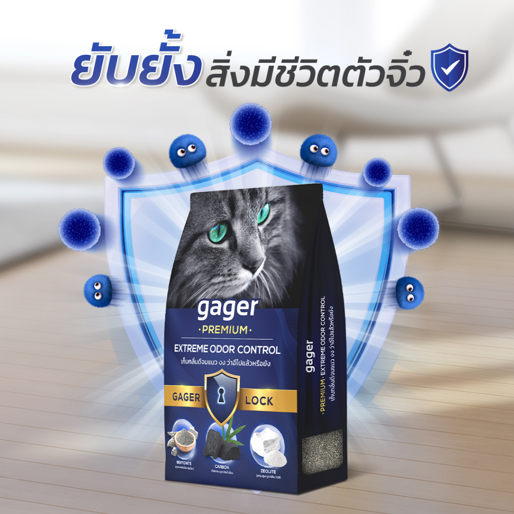 รูปภาพ 3