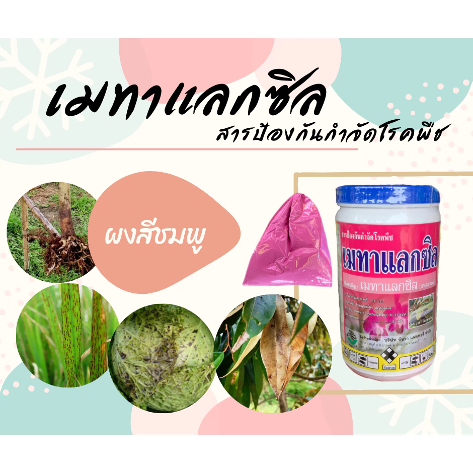 เมทาแลกซิล Metalaxyl สารป้องกัน-กำจัดเชื้อรา โรครากเน่า โคนเน่า [5-017]