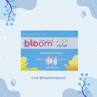 Alice Bloom -6.50 ถึง -9.00 พร้อมส่ง