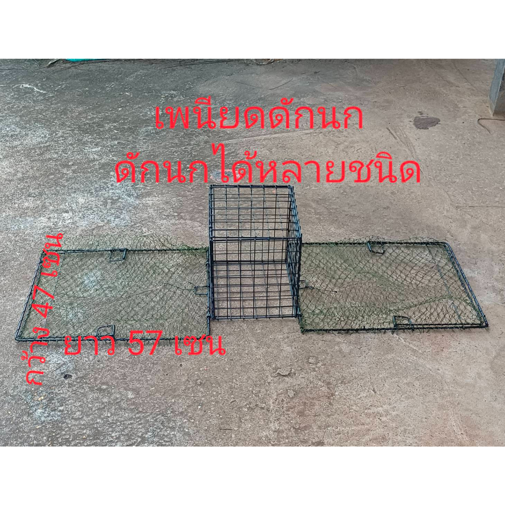 เพนียดดักนกต่อนก 2 ทาง แบบมีกรง กว้าง 47ยาว57เซน ใช้ดักนกต่อนกได้หลายชนิด เช่นนกกวักนกอีลุ้มนกกระปูดนกเขานกพิราบ