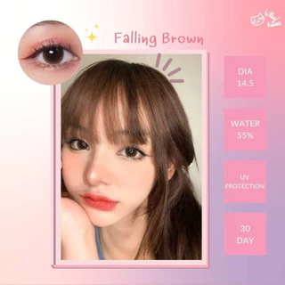 🔥คอนแทคเลนส์✨ขนาดกลาง✨ Falling ✨Kitty Kawaii สี Brown / Black / Gray