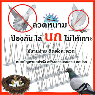 🚫กันนกพิราบ Bird Spikes  หนามไล่นก ไล่นกพิราบ ที่ดักนก กันนกเกาะ อุปกรณ์ไล่นกทำรัง ทนทาน กำจัดนกได้ผลจริง 100%