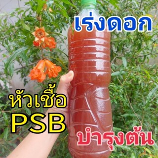 PSBหัวเชื้อจุลินทรีย์สังเคราะห์แสงอย่างดี ขยายต่อได้