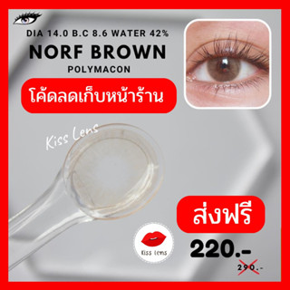 Glitzlens Norf brown DIA 14.0 คอนแทคเลนส์ ขนาดเล็กพอดีตา สีน้ำตาลอัลมอนด์ ลดสีตาลง 2 ระดับ