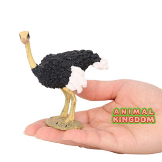 Animal Kingdom - โมเดลสัตว์ นกกระจอกเทศ คอเหลือง ขนาด 11.00 CM (จากสงขลา)