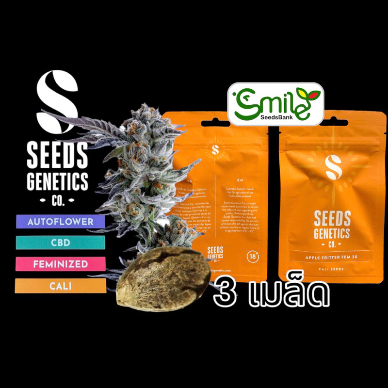 เมล็ดกัญชา Apple Fritter (Fem) - Seeds Genetics.Co