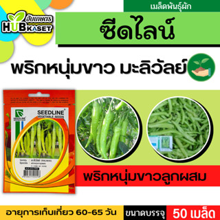 ซีดไลน์ 🇹🇭 พริกหนุ่มขาวลูกผสม มะลิวัลย์ ขนาดบรรจุประมาณ 50 เมล็ด อายุเก็บเกี่ยว 60-65 วัน