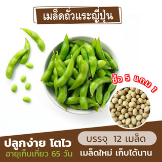 เมล็ดถั่วแระญี่ปุ่น แบ่งขาย 12 เมล็ด (ซื้อ 5 แถม 1) คละชนิดได้