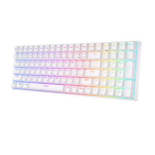 ภาพใหญ่: Royal Kludge RK100 RK860 Bluetooth 5.0 และ 2.4G RGB Hot Pluggable Mechanical Keypad