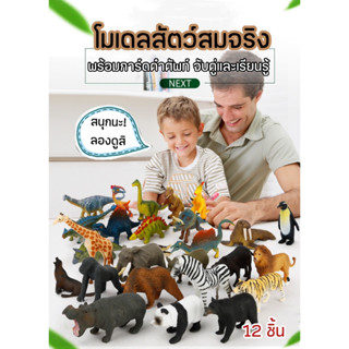 โมเดลสัตว์สมจริง พร้อมการ์ดคำศัพท์สำหรับเรียนรู้ เซ็ตโมเดลสัตว์ 12 ตัว