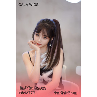 หางม้าหนีบตรง วิกผมหางม้าหนีบสีไฮไลท์  รหัส M779 ยาว50Cm สิน…