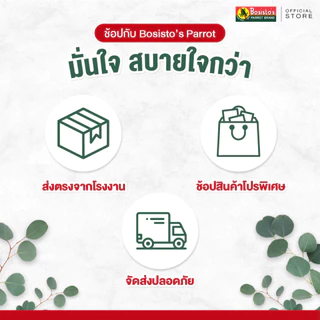 Bosisto ตรานกแก้ว แพ็คคู่ 300ml. สเปรย์น้ำมันยูคาลิปตัส & ยูคาลิปตัสผสมมิ้นท์