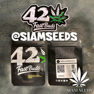 เมล็ดกัญชา Fastbuds Gorilla Cookies Auto Cannabis Seeds (Pack of 3)