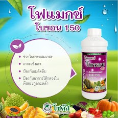 โฟแมกซ์ โบรอน 150 อาหารเสริมพืช ฮอร์โมนพืช ปุ๋ยน้ำ ช่วยผสมเกสร เพิ่มความหวาน  ป้องกันไส้กลวง ดูดซึมเร็ว ขนาด 500 ซีซี