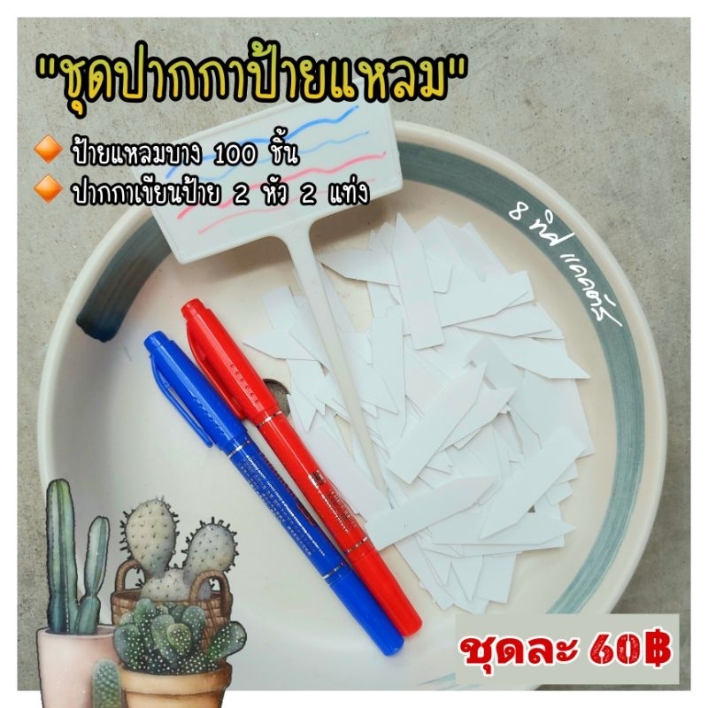 @ ชุดป้ายแหลมบาง+ปากกา // 1 ชุด มีป้ายแหลมบาง 100 ชิ้น ปากกา 2 ชิ้น