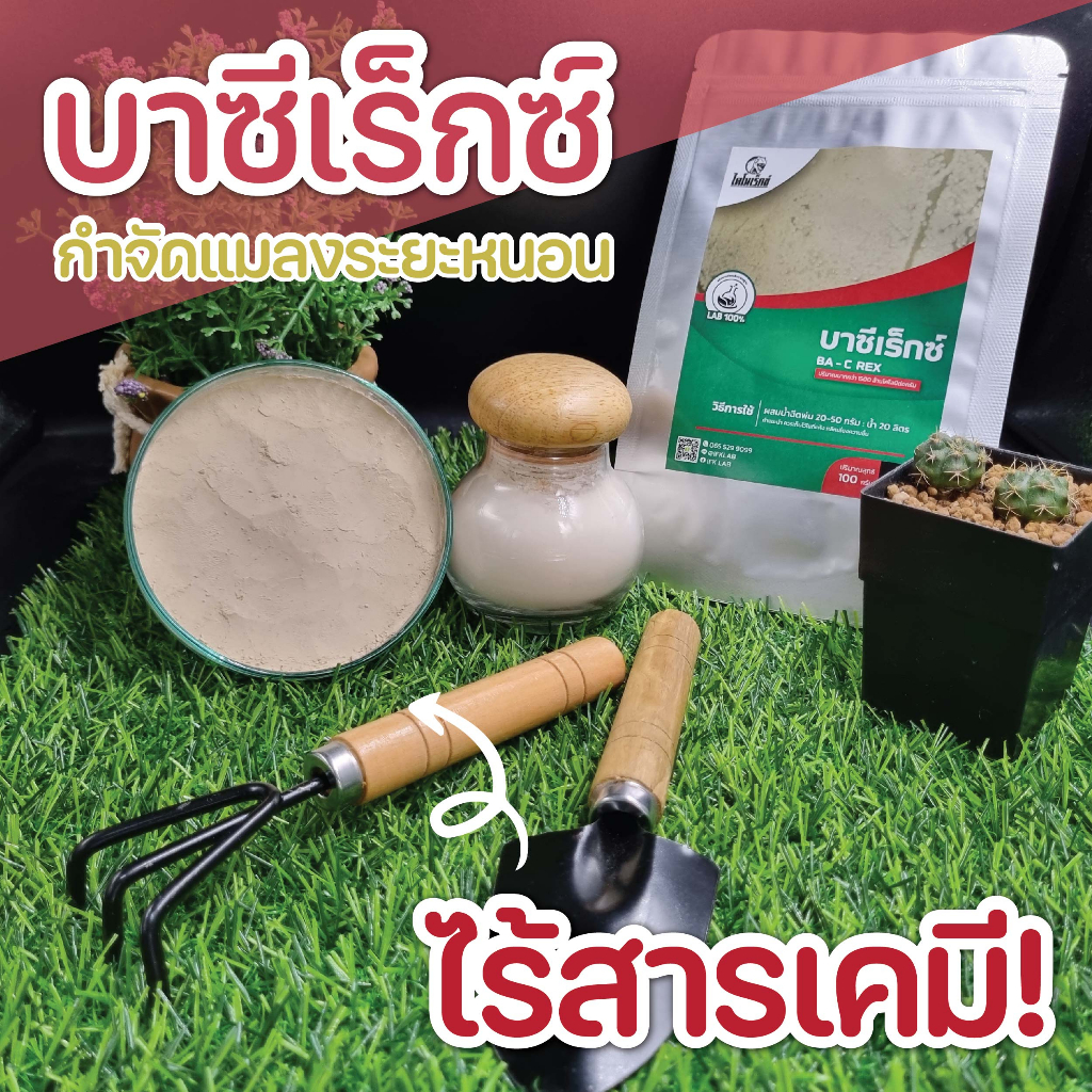 ยากำจัดหนอนทุกชนิด กำจัดหนอนกระทู้ หนอนบุ้ง หนอนชอนใบ หนอนใยผัก ใช้เชื้อบาซิลัส ทูริงเยนซิส (บาซีเร็กซ์) ปลอดภัย 100% - รูปที่ 2