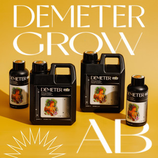 DEMETER HARVEST - DEMETER GROW AB (ดีมิเทอร์ โกร์ว เอบี) ผลิตภัณฑ์เอบีบำรุงพืชช่วงทำใบ มีธาตุอาหารครบถ้วน เร่งใบเร่งลำต้