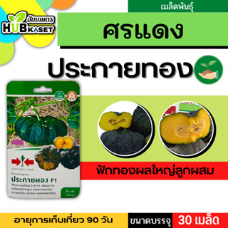 ศรแดง 🇹🇭 ฟักทองผลใหญ่ลูกผสม ประกายทอง F1 ขนาดบรรจุประมาณ 30 เมล็ด อายุเก็บเกี่ยว 90 วัน