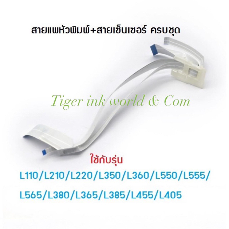 สายแพหัวพิมพ์และสายเซ็นเซอร์ EPSON L110/L210/L220/L350/L355/L360/L380/L550/L565