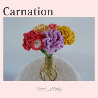 คาเนชั่น (carnation)