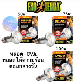 Exoterra 🧡 UVA 50w. 75w. 100w. หลอดให้ความร้อนกลางวัน UVA Intense Basking Spot เต่าบก ซูคาต้า เบียดดราก้อน นก กิ้งก่า