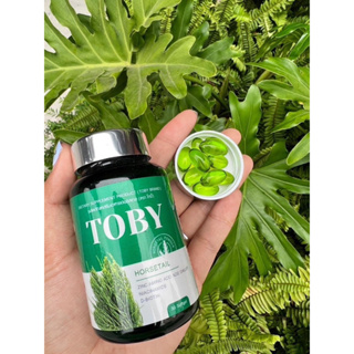 Toby Horsetail โทบี้ ฮอร์สเทล โทบี้หางม้า  ผงหญ้าหางม้า วิตามินดูแลผม[ปุกเขียว1ปุก]