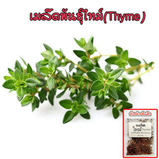 เมล็ดพันธุ์ ไทม์  Thyme บรรจุ 90-200 เมล็ด สมุนไพรฝรั่ง ใช้ทำอาหาร มีกลิ่นหอม (ซื้อ 10 แถม 1 คละได้)