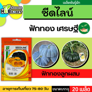 ซีดไลน์ 🇹🇭 ฟักทองลูกผสม เศรษฐี ขนาดบรรจุประมาณ 20 เมล็ด อายุเก็บเกี่ยว 75-80 วัน