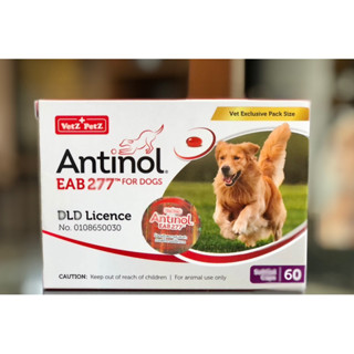 Antinol for dogs อาหารเสริมบำรุงข้อสำหรับสุนัข 1กล่อง60เม็ด