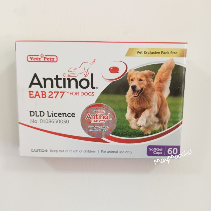 Antinol บำรุงข้อสุนัข 1 กล่อง 60 เม็ด exp.06/2024 แอนทินอล แอนตินอล แอนตีนอล