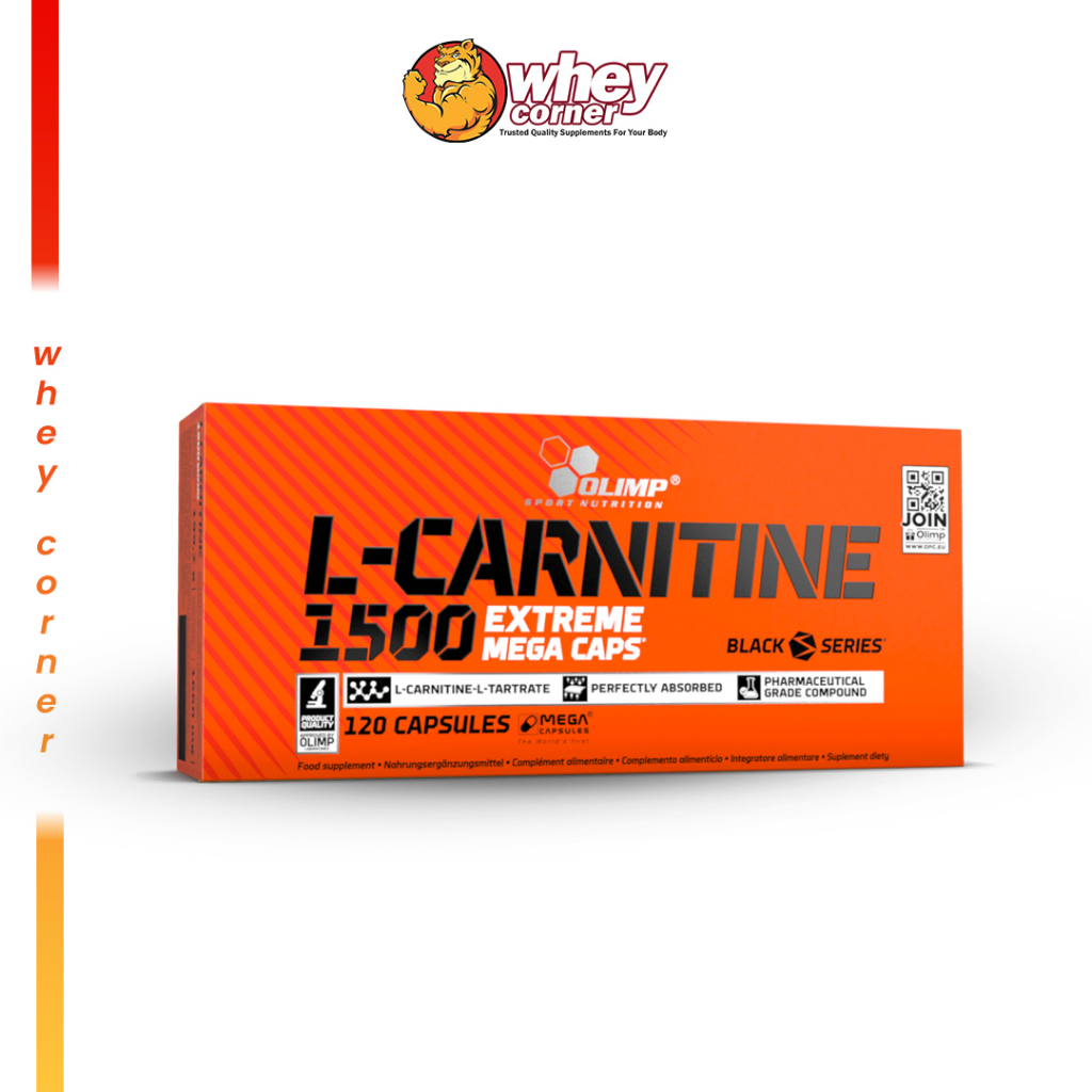 musashi l carnitine powder review OneFit All-in-One Supplement  25g Protein, 5g Creatine, 1g Electrolytes,  Vitamins & L-Carnitine  100 Calories, Gut + Brain Support  Low Carb, High  Performance  20-Serves (700g Pouch, Chocolate Milkshake) :