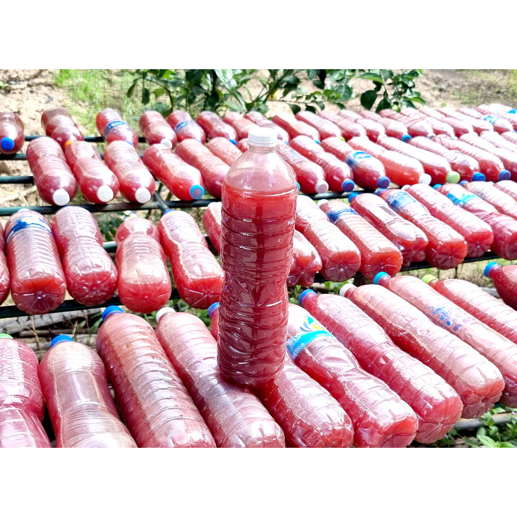 หัวเชื้อจุลินทรีย์สังเคราะห์แสงแท้ 100% สูตรเข้มข้น ขนาด 1 ลิตร พร้อมคู่มือขยายหัวเชื้อ