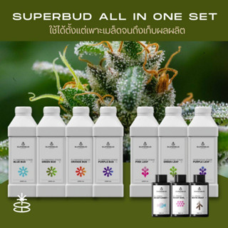 สารอาหารเสริมสำหรับต้นกัญชา Superbud all in one