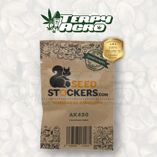 AK420 (Auto) - Seedstockers เมล็ดกัญชา นำเข้าแท้100% เมล็ดเพศเมีย