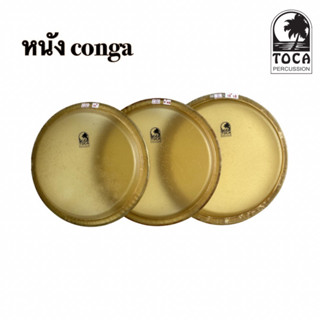 หนัง conga / TOCA percussion.