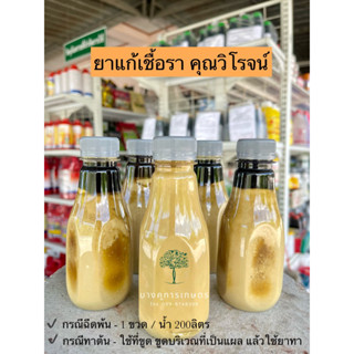 ยาเชื้อรา คุณโรจน์ เกษตรรับทราบ รักษาแผลที่ลำต้นทุเรียน โรคทุเรียน