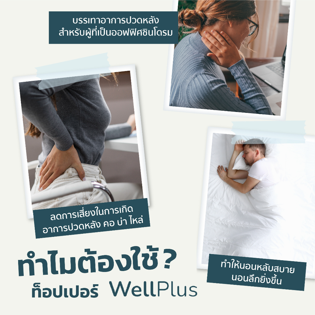 WellPlus ที่นอน Air Collection ยางพาราแท้ พับได้ ม้วนได้ หนา 1-4 นิ้ว