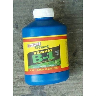 น้ำยาเร่งราก B1 อเมริกา ขนาดเล็ก 235 มล.