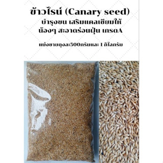 ข้าวไรย์ Carary Seed นำเข้าจากแคนาดา บำรุงขนให้สวยงาม สำหรับนกแก้วทุกสายพันธ์ุ และ หนูแฮมสเตอร์ (แบ่งขาย 1kg.) NO.B002