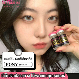 🔥โค้ด INCLZ55 ลด50% 🔥 Pony Lens ฝอก็ได้ เกาก็ดี