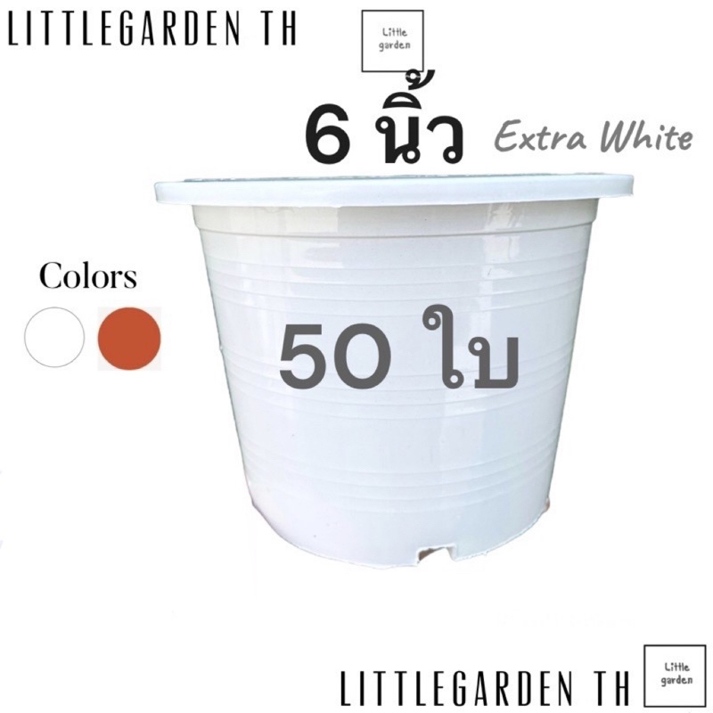 กระถางขาว 6 นิ้ว 50 ใบ(สีขาว สีอิฐ)