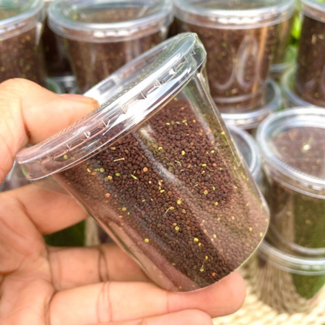 เมล็ดผักเสี้ยนผี กระปุก 100 g.เมล็ดพันธุ์เพื่อหว่านปลูกหรือสำหรับบำรุงนกเขาใหญ่ นกเขาชวา🍃🍃