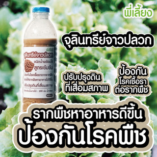 จาวปลวกชนิดน้ำพร้อมใช้ บำรุงและป้องกัน ขนาด600ml.