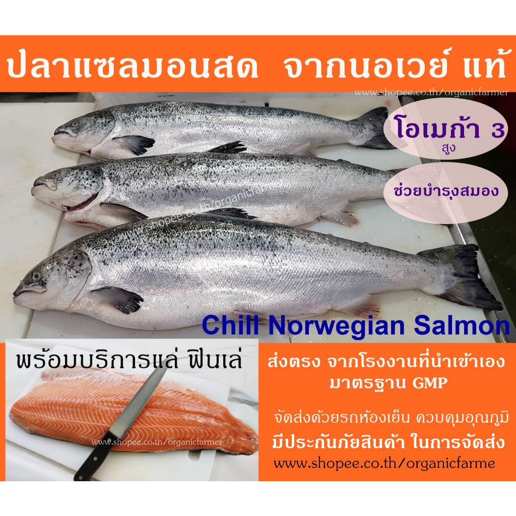 ปลาแซลมอนนอเวย์ สด น้ำหนัก 4-5 กก. และ 5-6 กก./ตัว ( ทั้งตัว พร้อมบริการแล่ฟินเล่ )