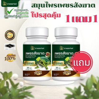 (พร้อมส่ง)1แถม1 บ้านคุณจันท์ เพชรสังฆาต สมุนไพรเพชรสังฆาต สมุนไพรริดสีดวง 30 แคปซูล