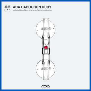 ADA CABOCHON RUBY วาล์วกันน้ำย้อน (Check Valve) แบบแก้วที่ตัววาล์วทำจากเม็ดแร่ทนการสึกกร่อน